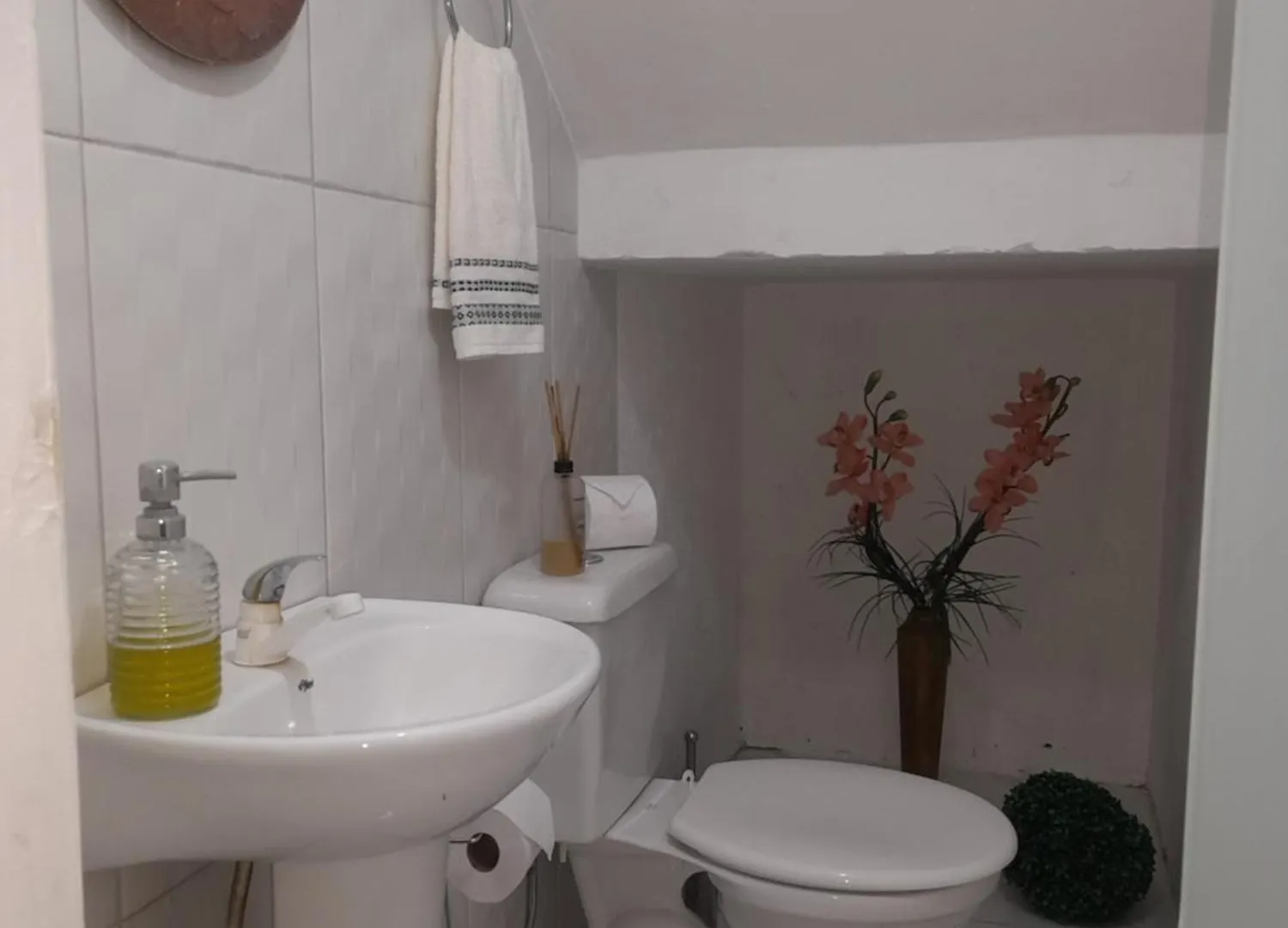 Homestay Casa Ampla E Aconchegante Apartment Florianopolis